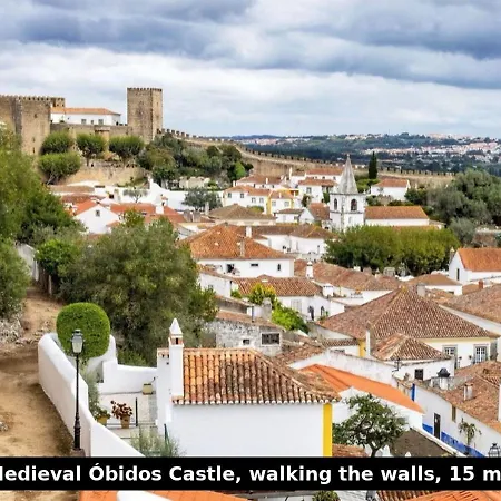 Beachfront With Private Access, Ocean Views, Pool, Casal do Narcizo