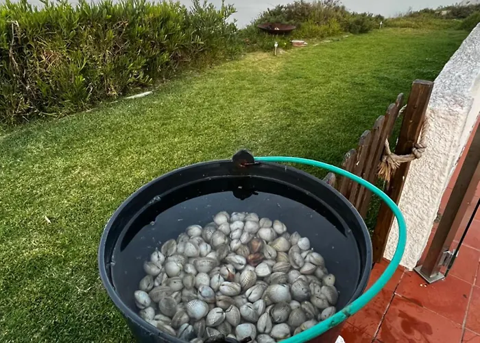 Beachfront With Private Access, Ocean Views, Pool, Villa Casal do Narcizo